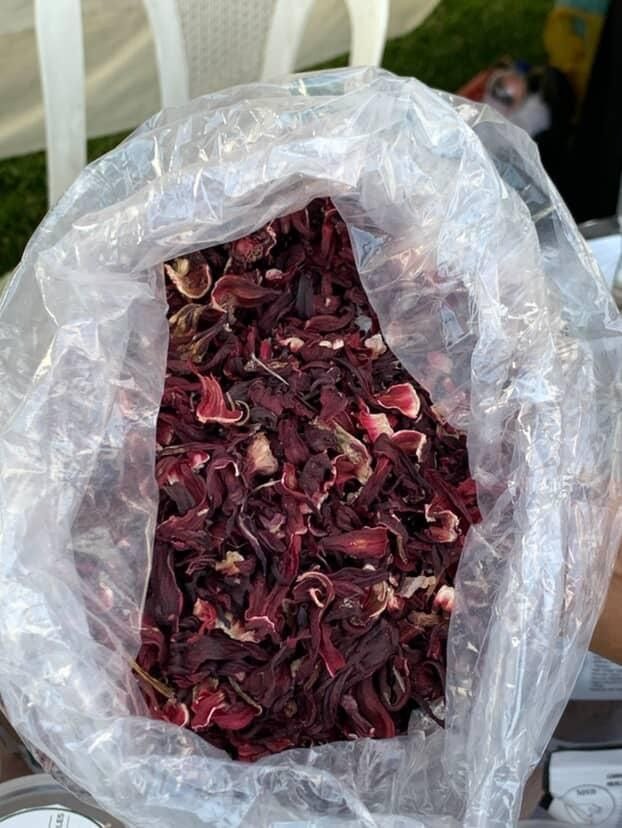 Hibiscus